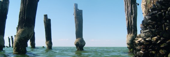 The Jetty Journals