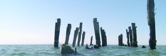 The Jetty Journals