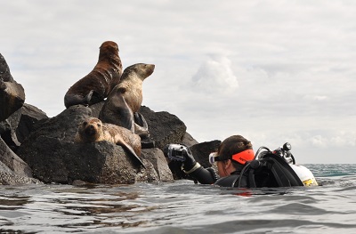 Photo by Rick Stuart-Smith, Location - Popes Eye