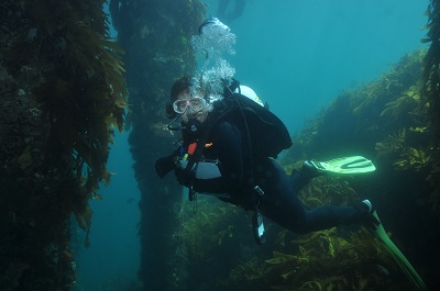 Photographer- Rick Stuart-Smith. Location - South Channel Fort